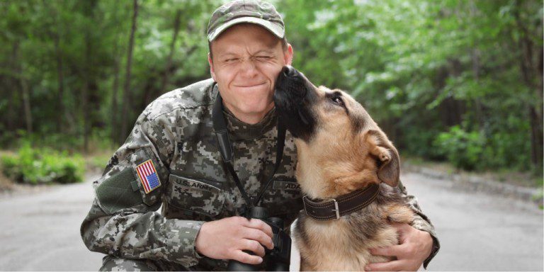How PTSD Service Dogs Help Veterans How PTSD Service Dogs Help Veterans