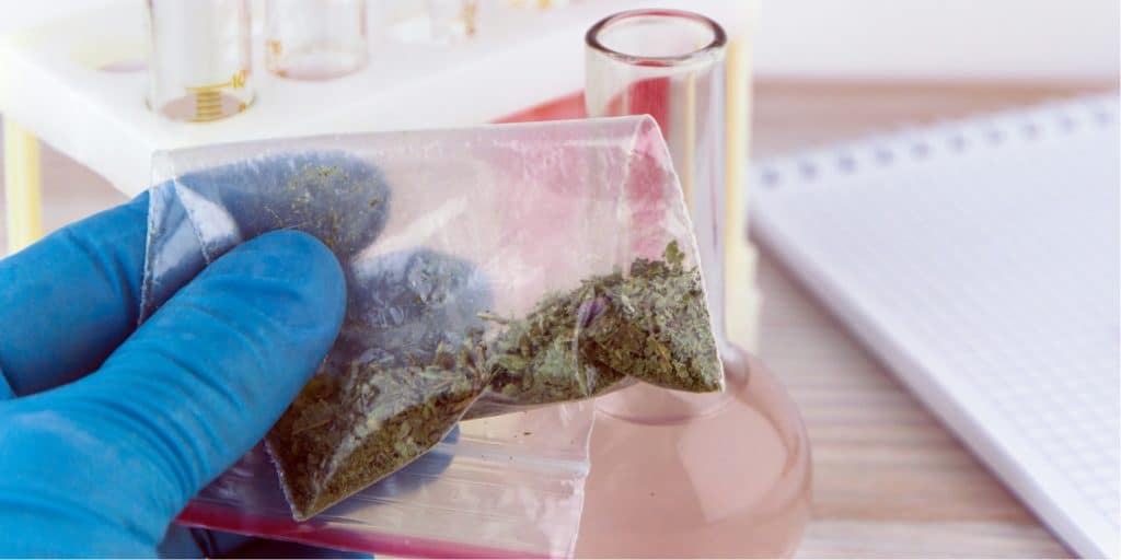 Spice Drug Spice Drug