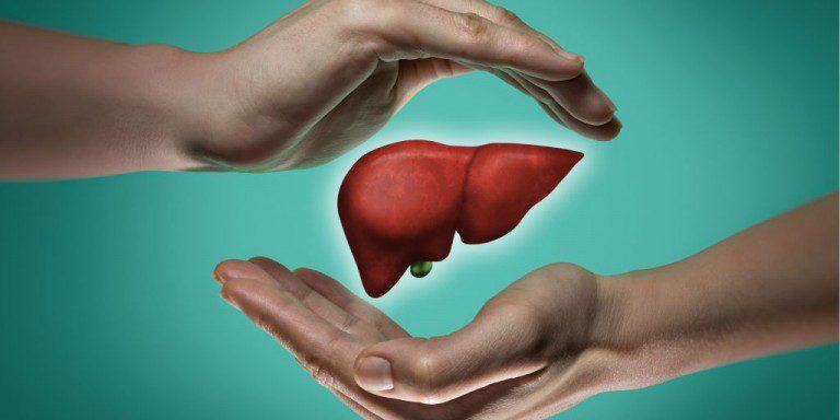 Can the Liver Heal Itself? Recovering from Alcohol Addiction Can the Liver Heal Itself? Recovering from Alcohol Addiction