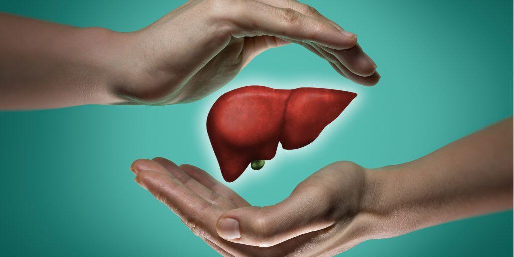 Can the Liver Heal Itself? Recovering from Alcohol Addiction