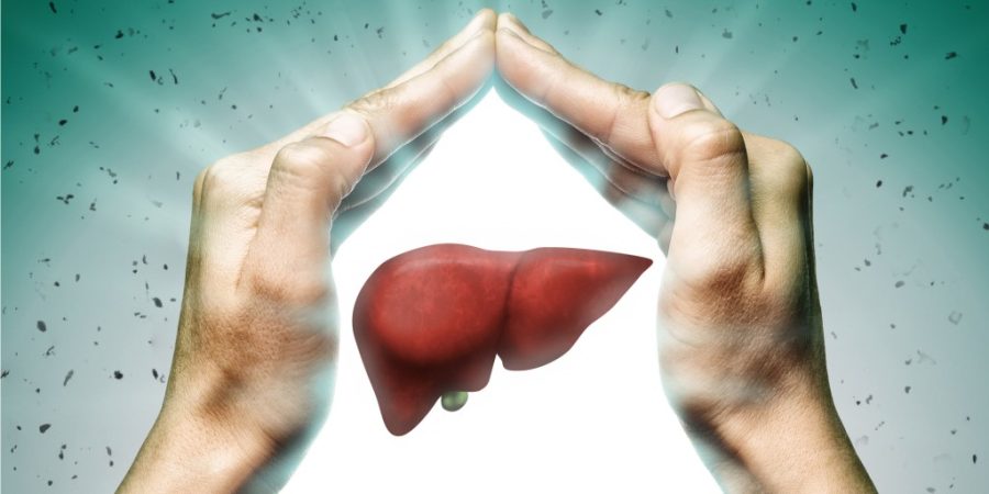 Can the Liver Heal Itself? Alcohol & Liver Damage FAQ Best Mental