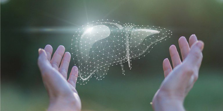 Can the Liver Heal Itself? | Veteran Alcohol Abuse FAQ Can the Liver Heal Itself? | Veteran Alcohol Abuse FAQ