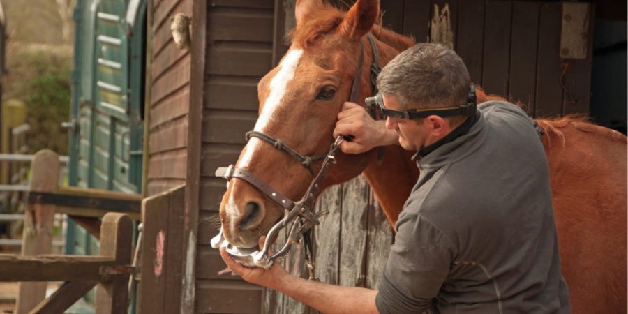 Equine-Assisted Therapy What Is Equine-Assisted Therapy